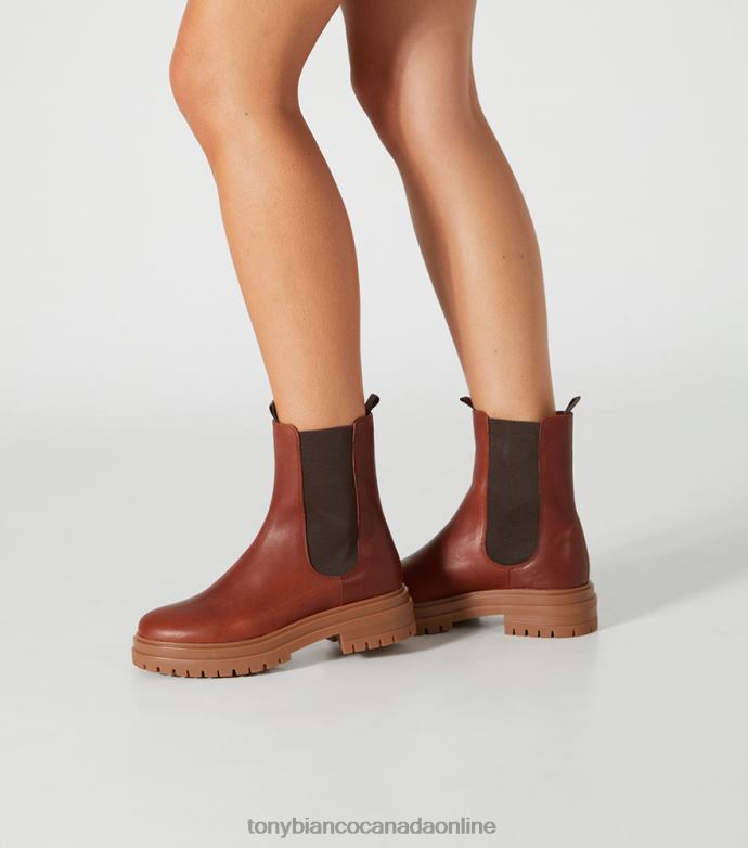 Ankle boots| Tony Bianco Women Wolfe Ankle Boots H0FJ481 Cognac