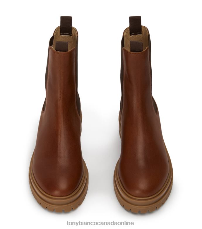 Ankle boots| Tony Bianco Women Wolfe Ankle Boots H0FJ481 Cognac