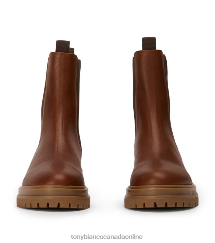 Ankle boots| Tony Bianco Women Wolfe Ankle Boots H0FJ481 Cognac