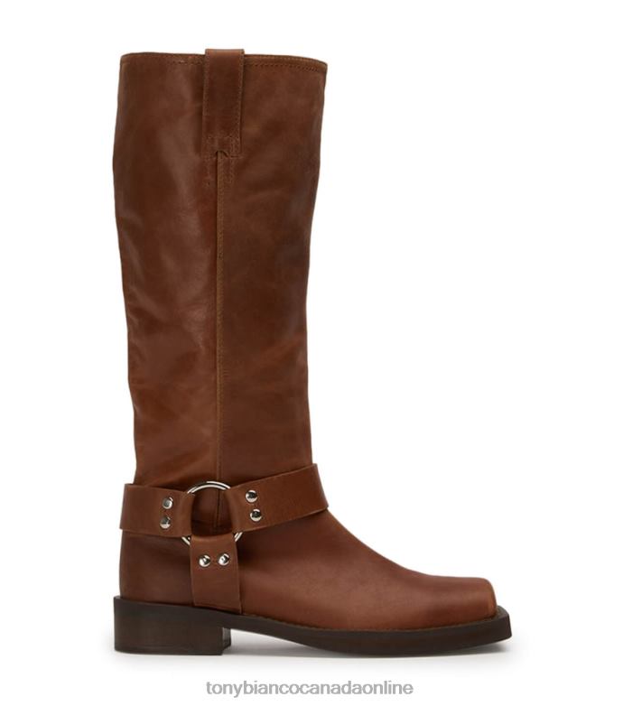 Combat Boots| Tony Bianco Women Biker Calf Boots H0FJ560 Cognac