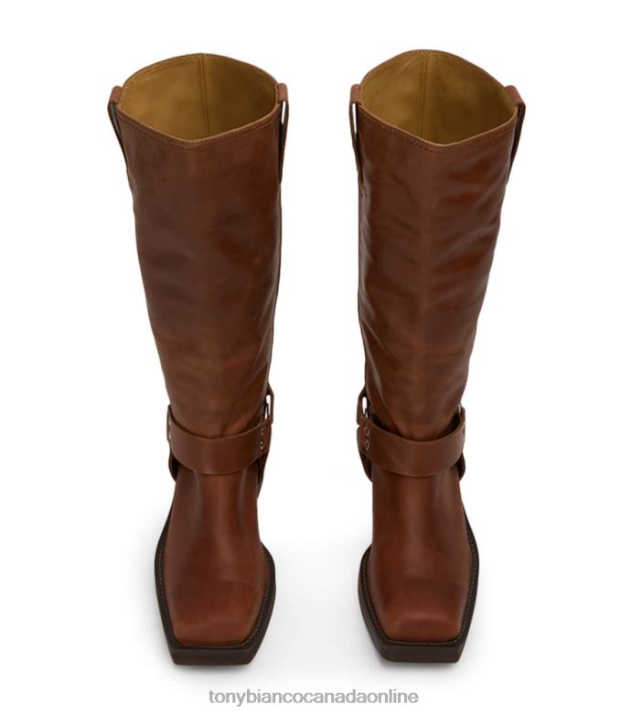 Combat Boots| Tony Bianco Women Biker Calf Boots H0FJ560 Cognac