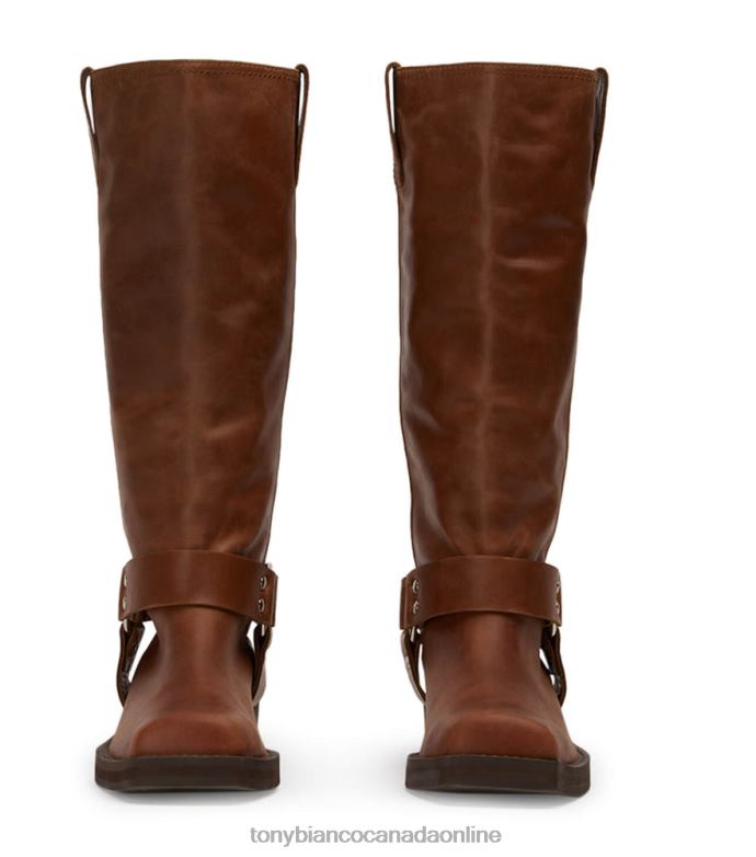 Combat Boots| Tony Bianco Women Biker Calf Boots H0FJ560 Cognac