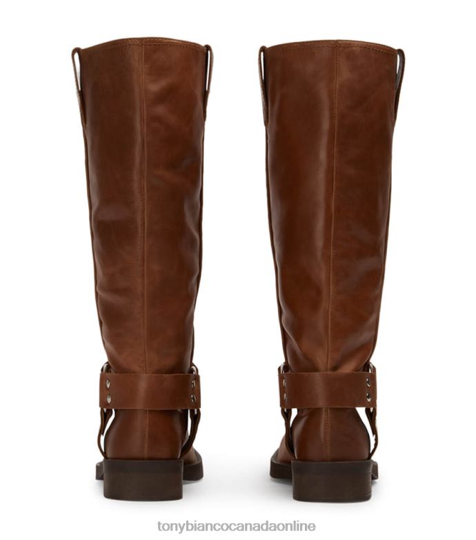Combat Boots| Tony Bianco Women Biker Calf Boots H0FJ560 Cognac