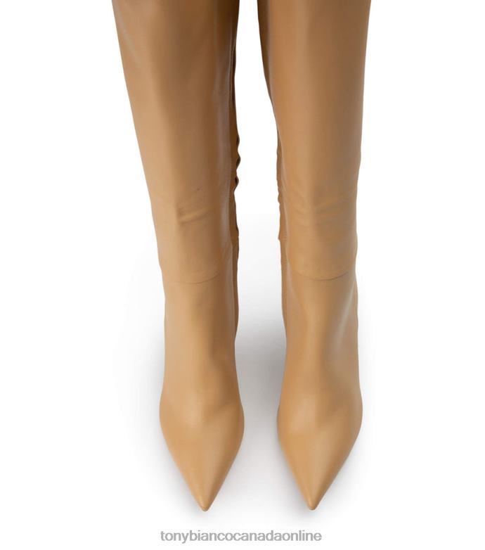 Knee High Boots| Tony Bianco Women Apollo Calf Boots H0FJ439 Honey Nappa