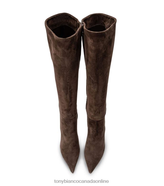 Knee High Boots| Tony Bianco Women Apollo Calf Boots H0FJ443 Espresso Suede