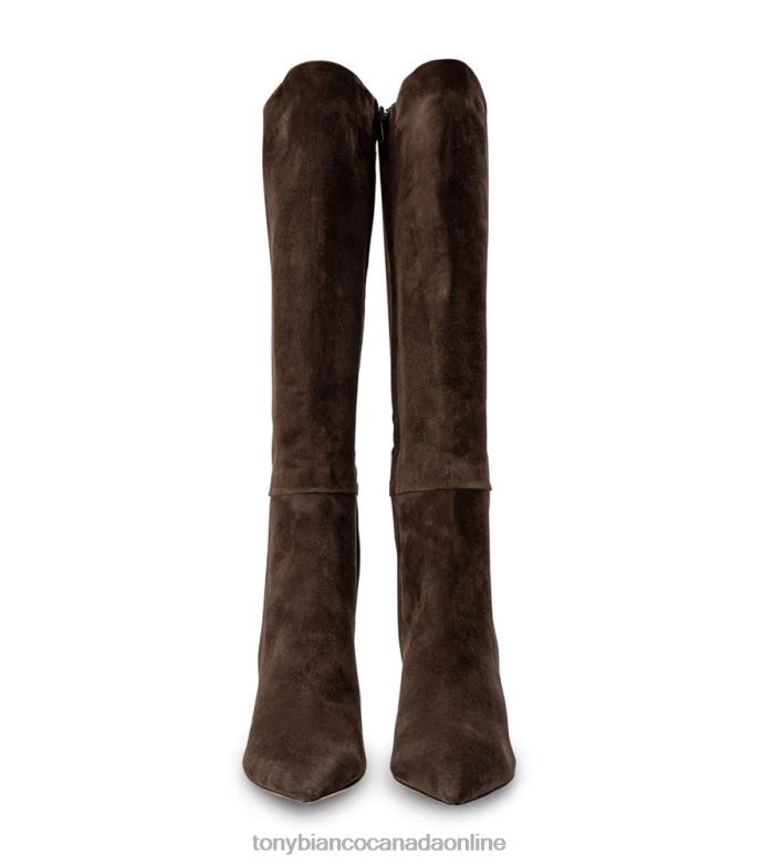 Knee High Boots| Tony Bianco Women Apollo Calf Boots H0FJ443 Espresso Suede