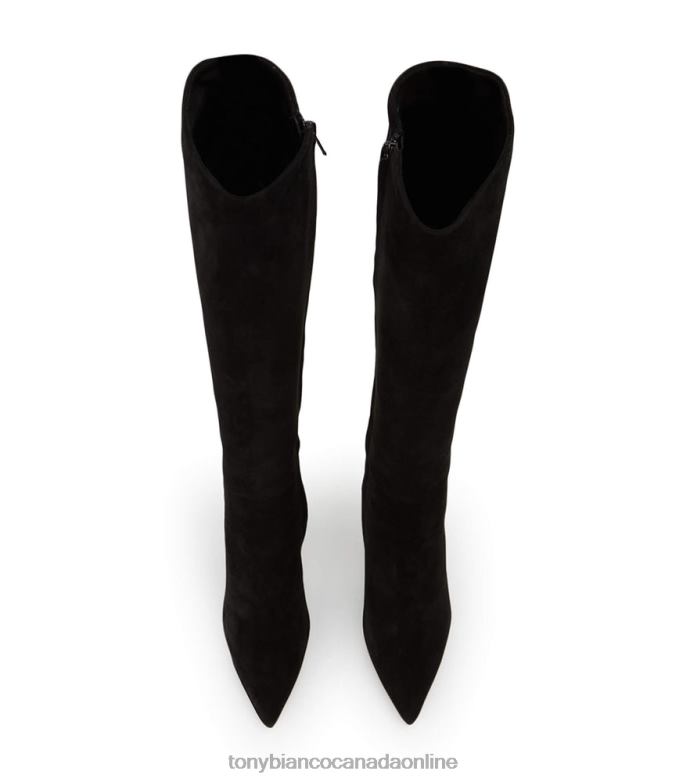Knee High Boots| Tony Bianco Women Apollo Calf Boots H0FJ467 Black Suede