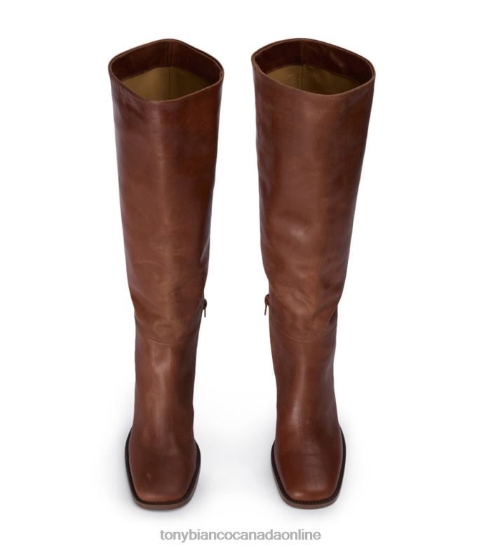 Knee High Boots| Tony Bianco Women Asher Calf Boots H0FJ423 Cognac