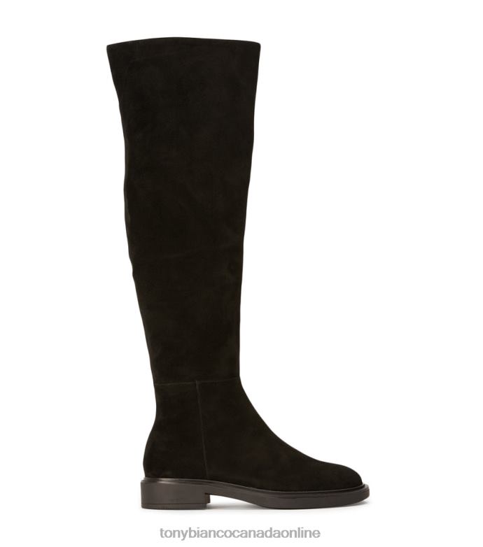 Knee High Boots| Tony Bianco Women Chasey Long Boots H0FJ418 Black Suede