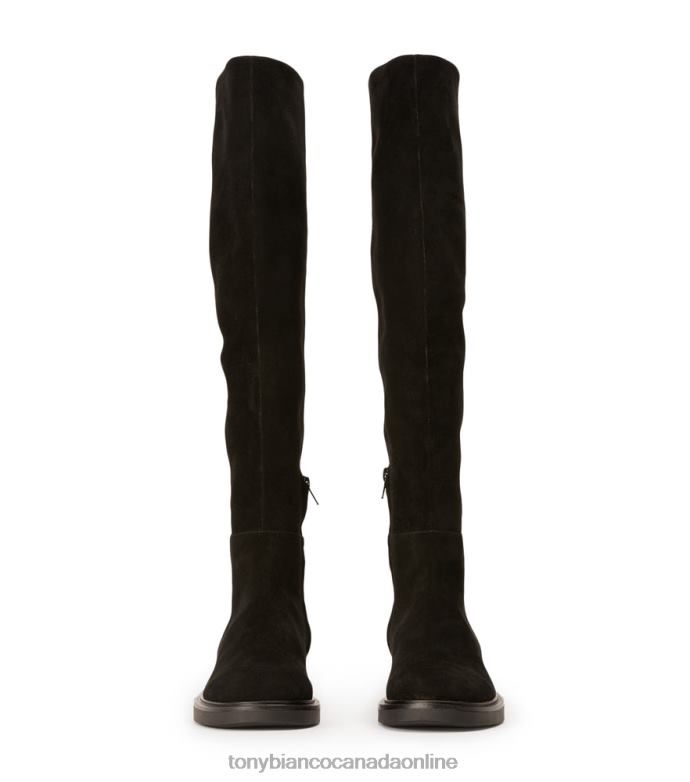 Knee High Boots| Tony Bianco Women Chasey Long Boots H0FJ418 Black Suede