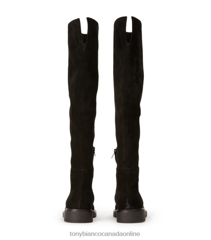 Knee High Boots| Tony Bianco Women Chasey Long Boots H0FJ418 Black Suede