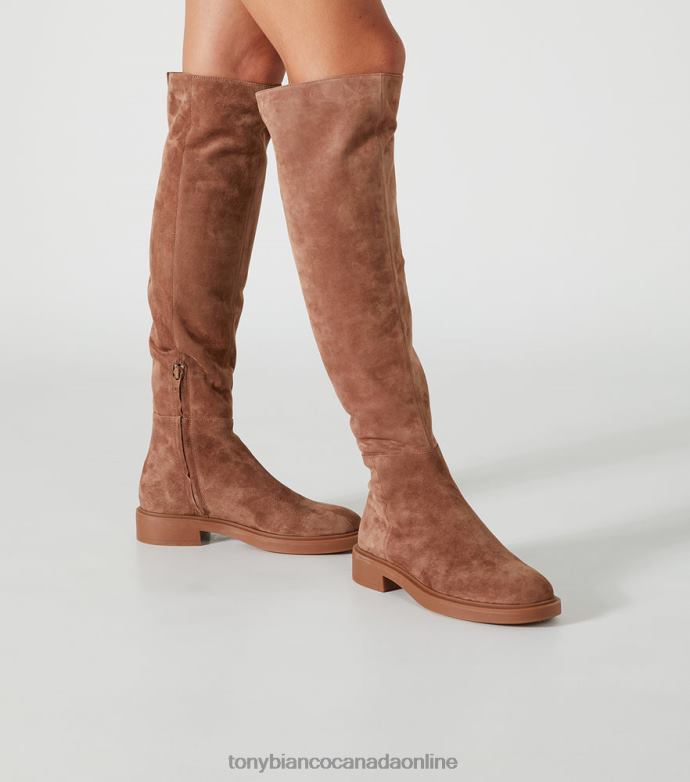 Knee High Boots| Tony Bianco Women Chasey Long Boots H0FJ419 Saddle Suede