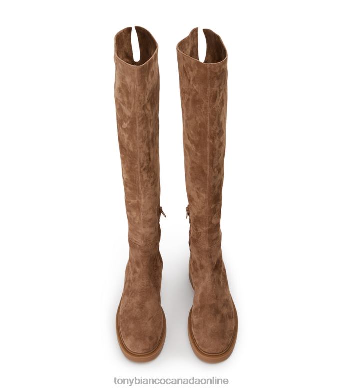 Knee High Boots| Tony Bianco Women Chasey Long Boots H0FJ419 Saddle Suede