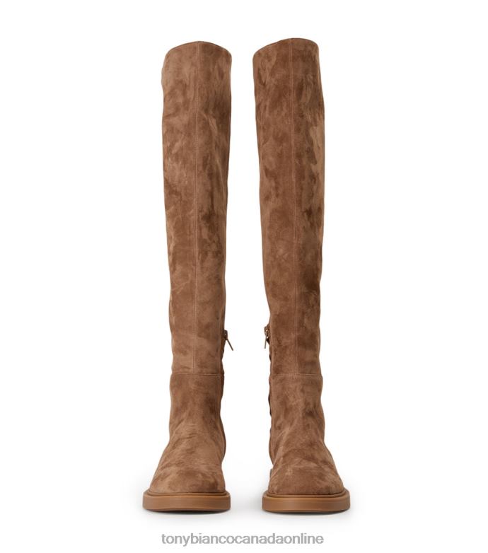 Knee High Boots| Tony Bianco Women Chasey Long Boots H0FJ419 Saddle Suede