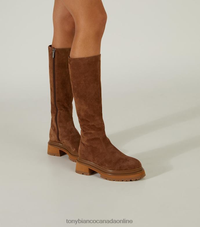 Knee High Boots| Tony Bianco Women Hitch Calf Boots H0FJ466 Saddle Suede