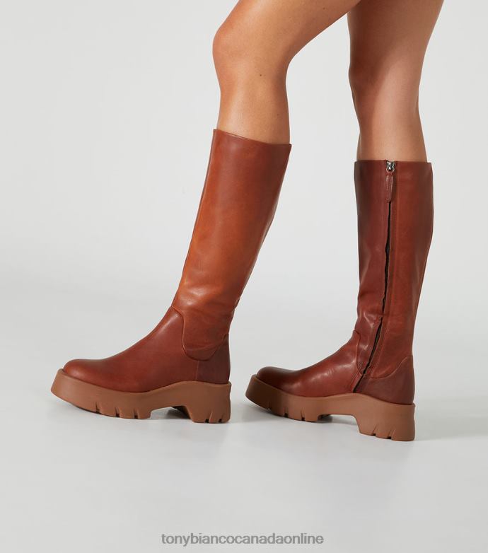 Knee High Boots| Tony Bianco Women Rage Calf Boots H0FJ420 Cognac