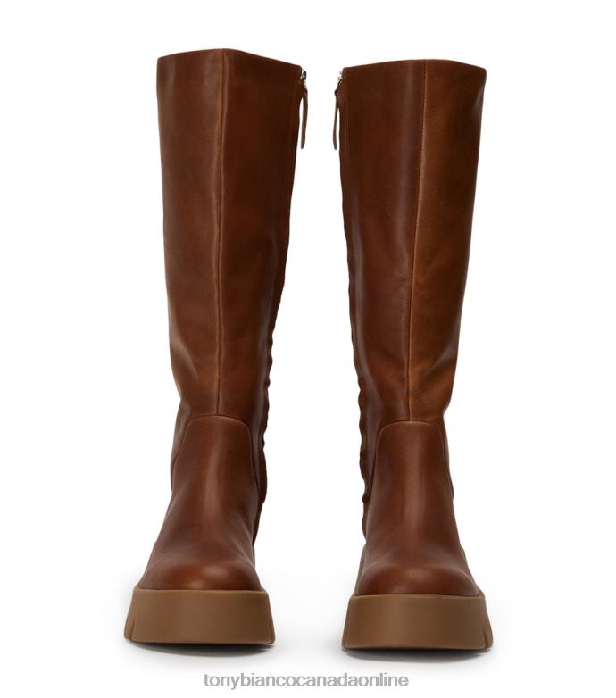Knee High Boots| Tony Bianco Women Rage Calf Boots H0FJ420 Cognac