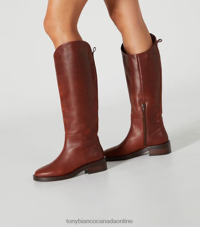 Knee High Boots| Tony Bianco Women Tyler Calf Boots H0FJ412 Cognac