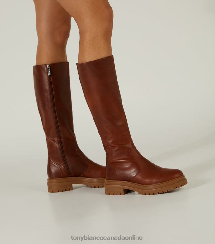 Knee High Boots| Tony Bianco Women Wanda Calf Boots H0FJ465 Cognac