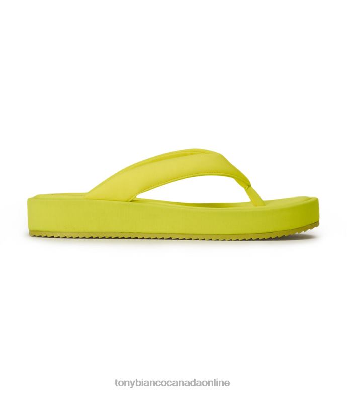 Sandals| Tony Bianco Women Paris Sandals H0FJ649 Sunshine