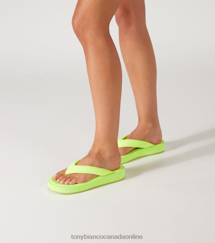 Sandals| Tony Bianco Women Paris Sandals H0FJ649 Sunshine