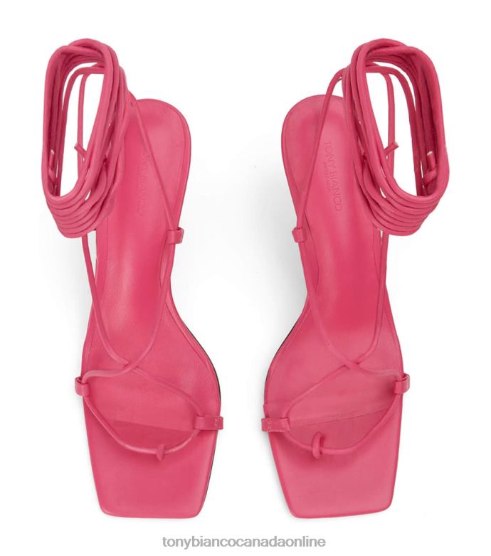 Stiletto Heels| Tony Bianco Women Clarity Heels H0FJ197 Acid Pink