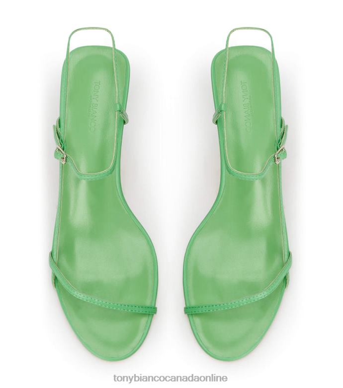 Low Heels| Tony Bianco Women Caprice Heels H0FJ293 Acid Green
